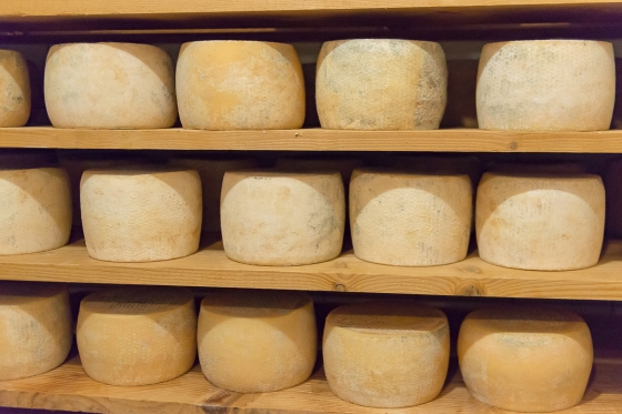 The Crete Senesi and Valdorcia: Pienza and Lunch at a Cheese Farm